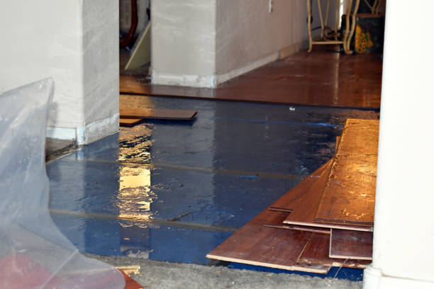 Professional Water Damage Restoration technician working in Arlington, TX